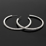 Earrings Wedding Alloy With Rhinestones (011018493)