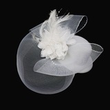 Beautiful Feather/Flannelette With Lace Women's Wedding Fascinators(More Colors) (042024905)