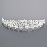 Gorgeous Alloy Clear Crystals Wedding Bridal Tiara (042004254)