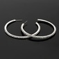 Earrings Wedding Alloy With Rhinestones (011018493) Earrings Wedding Alloy With Rhinestones (011018493)