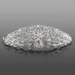 Gorgeous Crystals Wedding Bridal Tiara / Headpieces (042009725)