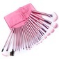 Pennelli trucco professionale con Rosa Bag (22 pz) (046024417) Pennelli trucco professionale con Rosa Bag (22 pz) (046024417)