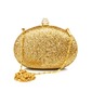 Gorgeous Stainless Steel With Sequins Evening Bag Handbag Purse Clutch (012016230)