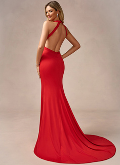 Meerjungfrau-Linie V-Ausschnitt Pinsel-Schleppe Jersey Ballkleid 